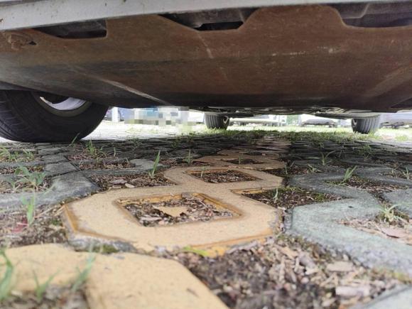 [济南·鲁A] 二手斯柯达明锐2013款 1.6L 手动逸俊版