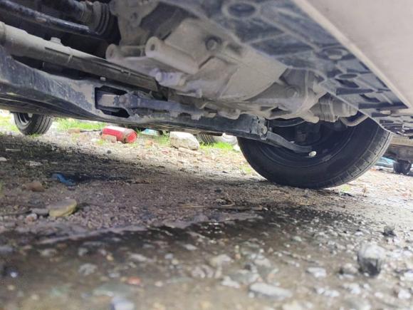 [杭州·浙A] 二手欧拉欧拉黑猫2021款 301km 萌宠版