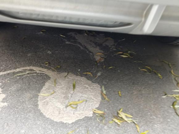 [南京·苏A] 二手比亚迪宋PLUS2020款 1.5T 自动尊贵型