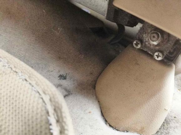 [湖州·浙E] 二手本田奥德赛2008款 2.4L 舒适版