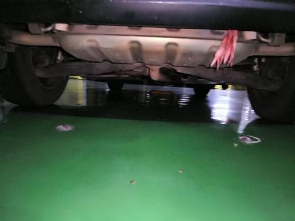 [南昌·赣A] 二手马自达马自达CX-52014款 2.0L 自动两驱都市型