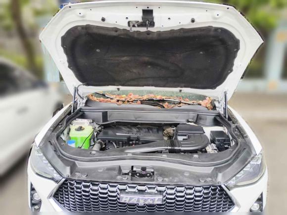 [南京·苏A] 二手哈弗哈弗F72019款 1.5T 两驱i潮 国V