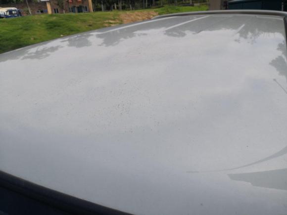 [合肥·皖A] 二手铃木北斗星2016款 1.4L 手动超值型