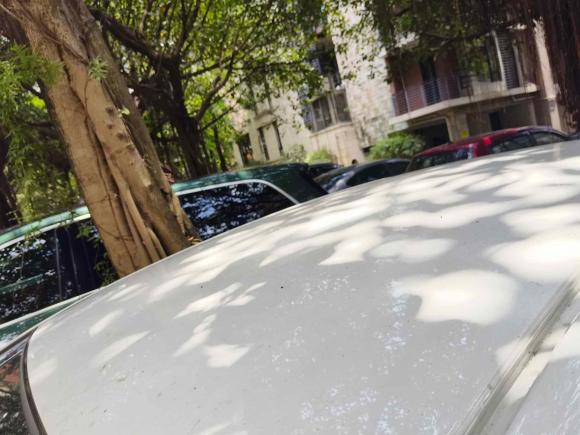 [佛山·粤A] 二手本田飞度2008款 1.3L 自动舒适版