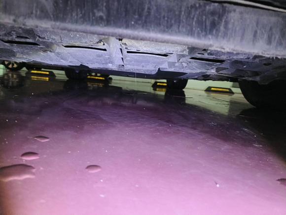 [上海·鲁A] 二手捷豹捷豹F-TYPE2021款 P300 后驱硬顶版