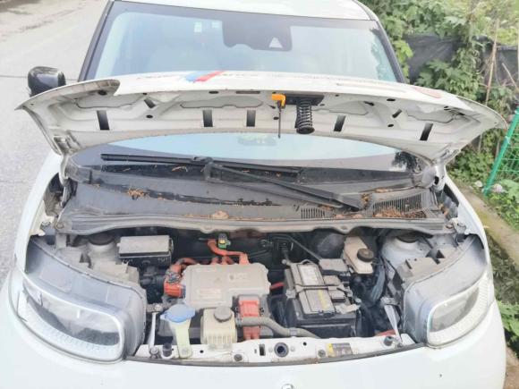 [杭州·粤B] 二手欧拉欧拉白猫2020款 401km 旗舰型