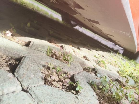 [武汉·鄂A] 二手福特Mustang2019款 2.3L EcoBoost