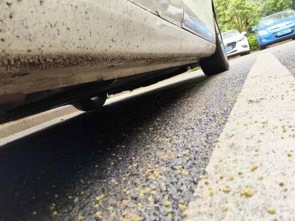 [杭州·浙D] 二手福特福睿斯2017款 幸福版 1.5L 自动时尚型