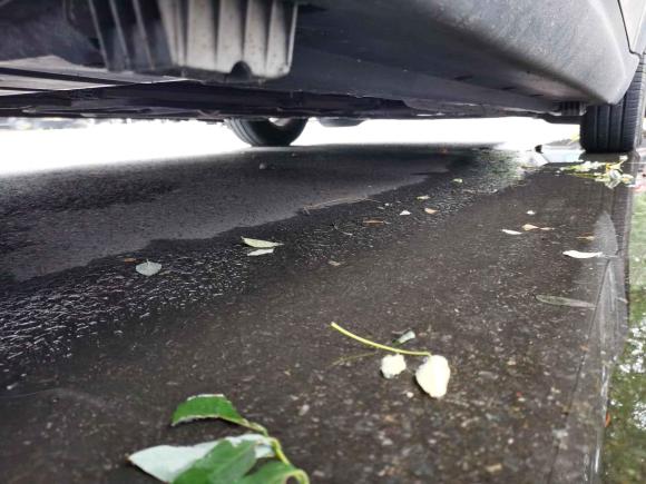 [北京·辽B] 二手MINIMINI2011款 1.6L COOPER Tattoo