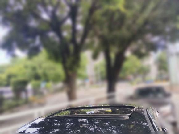 [深圳·粤S] 二手日产轩逸2022款 1.6L XL CVT悦享版