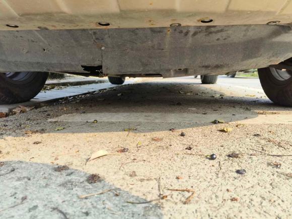 [温州·浙C] 二手哈弗哈弗H62015款 运动版 1.5T 自动两驱豪华型