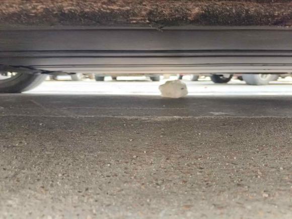 [义乌·浙G] 二手零跑汽车零跑C012023款 525舒享版