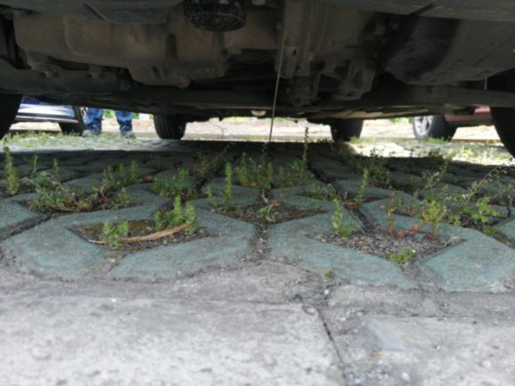 [上海·苏D] 二手福特福克斯2012款 三厢经典 1.8L 自动时尚型