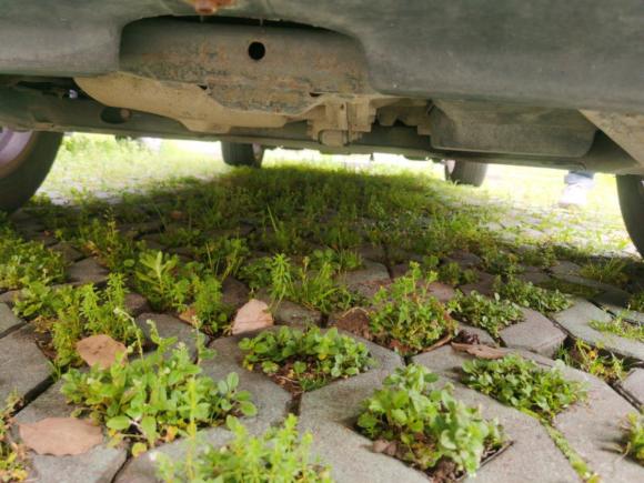 [嘉兴·浙F] 二手奔腾奔腾X802013款 2.0L 自动舒适型