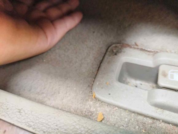 [苏州·苏E] 二手别克别克GL82017款 25S 尊贵型 国V