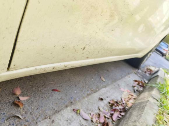 [苏州·苏E] 二手菲亚特致悦2014款 1.4T 自动豪华版