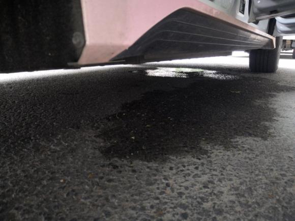 [广州·粤A] 二手比亚迪比亚迪e22021款 尊贵型