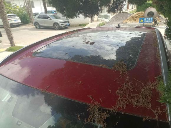 [南通·苏F] 二手吉利汽车缤越2019款 260T DCT骑士 国V