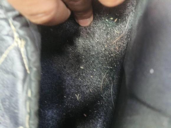 [合肥·皖A] 二手哪吒汽车哪吒V2021款 长续航娱乐版升级型