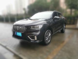 魏牌魏牌VV52020款1.5T两驱颜先锋