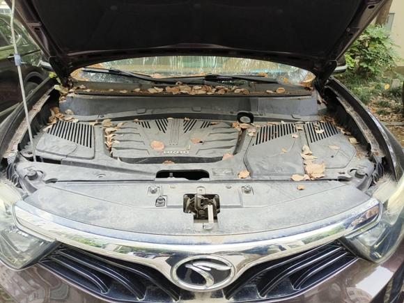 [上海·沪F] 二手东南东南DX72015款 1.5T 自动豪华型