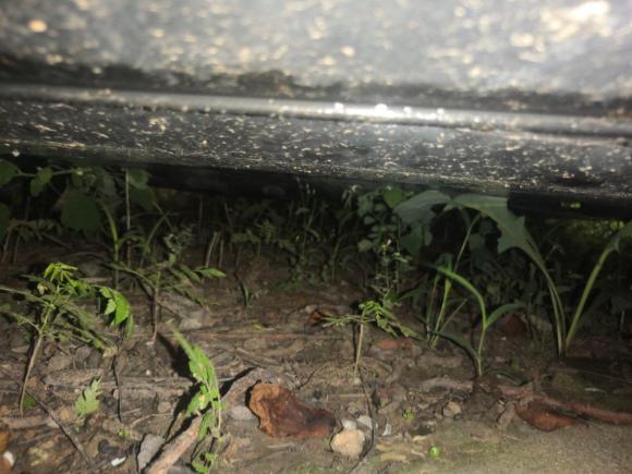 [济南·鲁A] 二手马自达马自达52013款 2.0L 自动舒适型