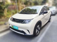 [上海·沪A] 比亚迪海豚2023款 420km 时尚版