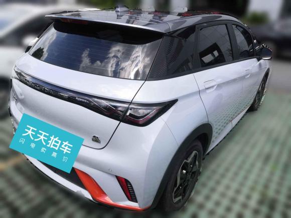 [嘉兴·浙F] 二手比亚迪海豚2021款 405km 时尚版