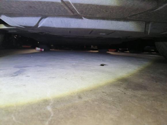 [广州·粤A] 二手奥迪奥迪Q2L e-tron2019款 Q2L e-tron 纯电智享型