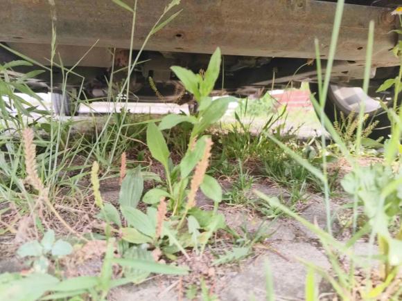 [青岛·鲁B] 二手别克别克GL82011款 2.4L CT舒适版