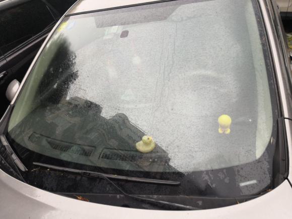 [上海·沪A] 二手日产骐达TIIDA2011款 1.6L CVT智能型