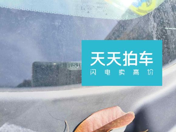 [上海·沪F] 二手荣威荣威e5502014款 豪华版