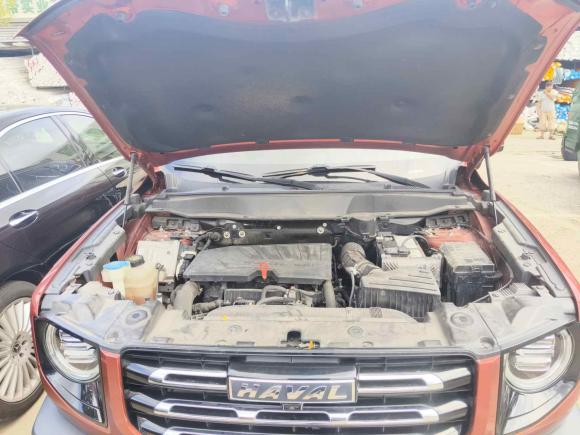 [上海·闽H] 二手哈弗哈弗大狗2021款 1.5T DCT两驱边牧版