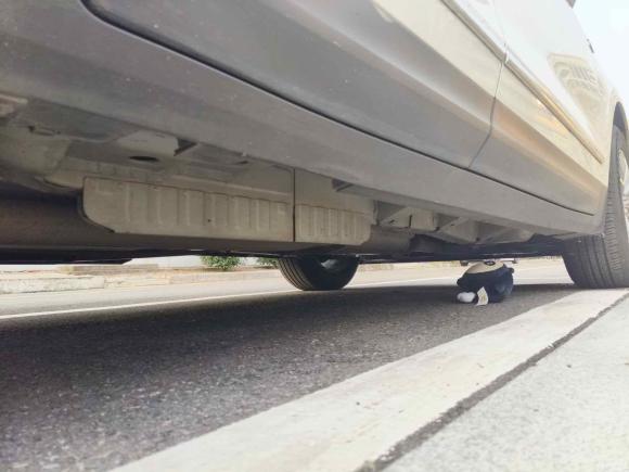 [南京·苏A] 二手凯迪拉克凯迪拉克XT52016款 25T 豪华型