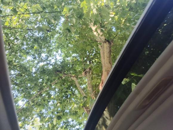 [上海·鄂F] 二手宝骏宝骏5602015款 1.8L 手动豪华型