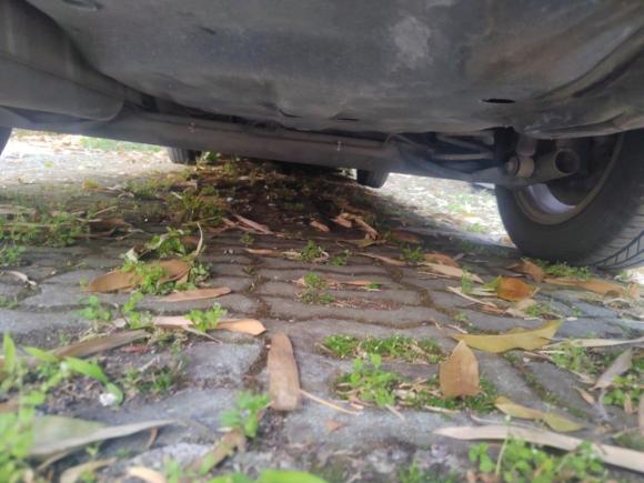 [苏州·苏E] 二手日产颐达2008款 1.6L 自动时尚型