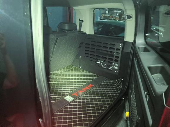 [南京·苏B] 二手坦克坦克3002021款 越野版 2.0T 征服者