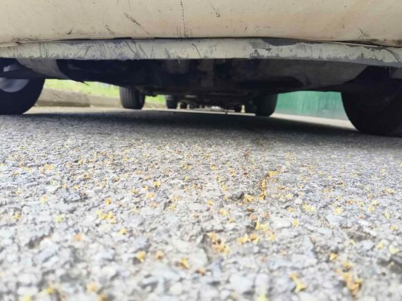 [苏州·浙F] 二手起亚秀尔2013款 1.6L AT Premium