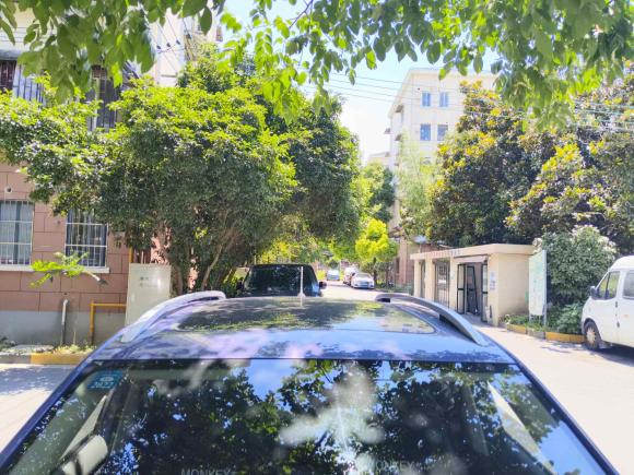 [上海·沪B] 二手大众途铠2020款 280TSI DSG舒适版