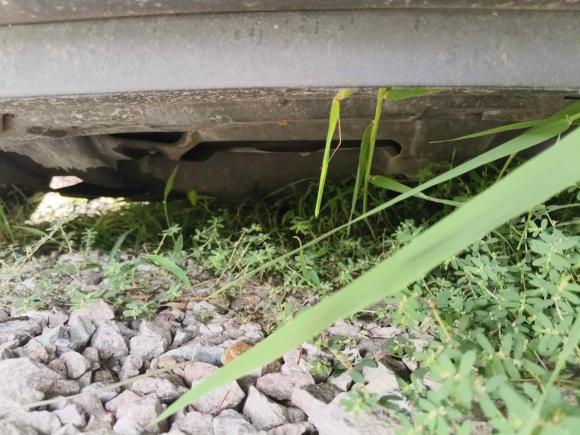 [上海·沪F] 二手本田雅阁2011款 2.4L LX