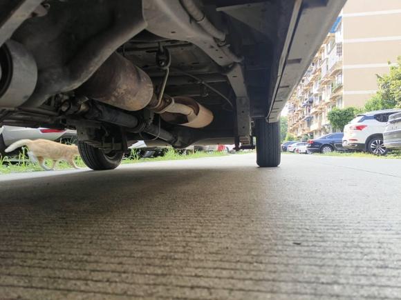 [成都·川A] 二手金杯新海狮X30L CNG2021款 1.5L天然气财富单蒸空调版客车SWCC15M