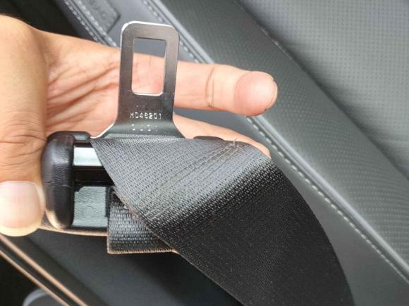 [南京·苏A] 二手红旗红旗H92020款 2.0T 智联旗享版