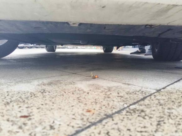 [温州·浙C] 二手埃安AION S2019款 炫 630