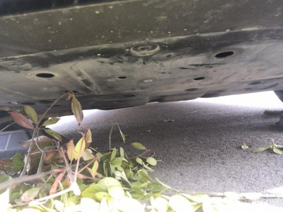 [青岛·豫A] 二手小鹏小鹏P72020款 562E性能版