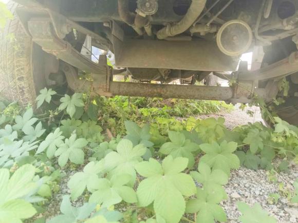 [济南·鲁A] 二手福田祥菱V2018款 1.2L 半承载3170轴距双排(平板)4W12M1