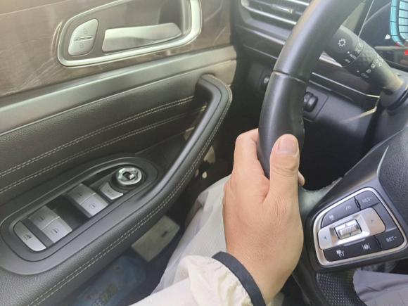 [合肥·皖A] 二手星途星途揽月2021款 400T 两驱星耀Pro版 7座