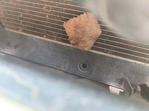 [济南·鲁A] 二手长安逸动2020款 PLUS 蓝鲸NE 1.4T GDI DCT锋尚型