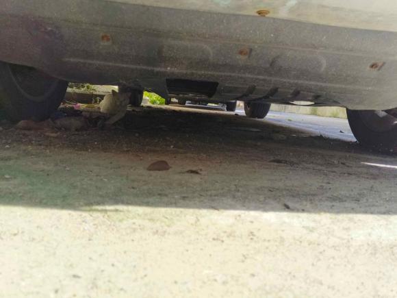 [合肥·皖A] 二手猎豹汽车猎豹CS102017款 1.5T 手动精英型