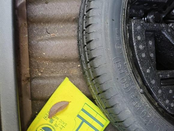 [嘉兴·浙F] 二手名爵MG52021款 180DVVT CVT青春豪华版