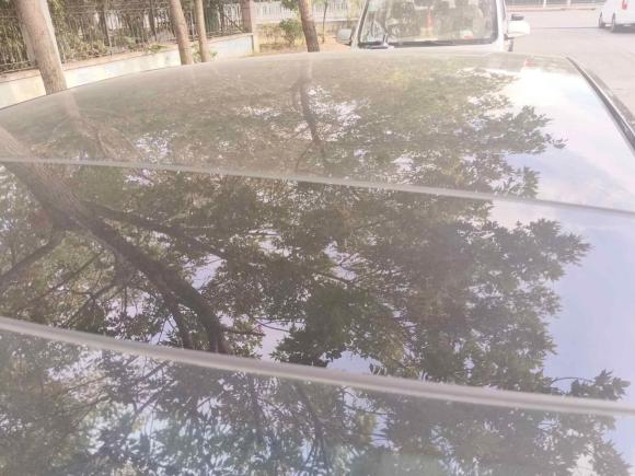 [青岛·鲁B] 二手奥迪奥迪A6L2021款 45 TFSI quattro 臻选动感型